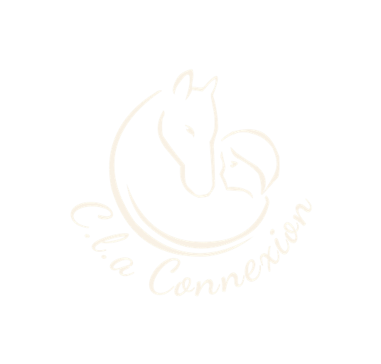 Logo C.l.a Connexion Médiation équine et équicoaching